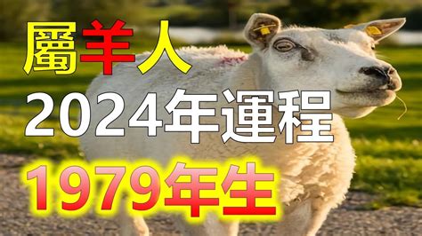 屬羊10年運勢|屬羊人2024年總運勢，屬羊人的愛情，事業運勢，屬羊人2024年。